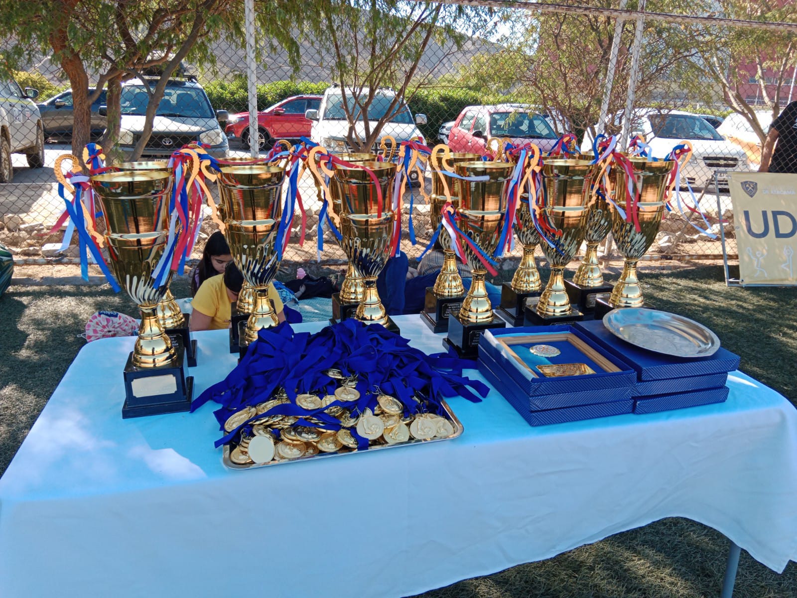 Campeonato infantil Copa Fin a la Polio tuvo un emocionante final de la mano de Rotary Club de Copiapó (1)